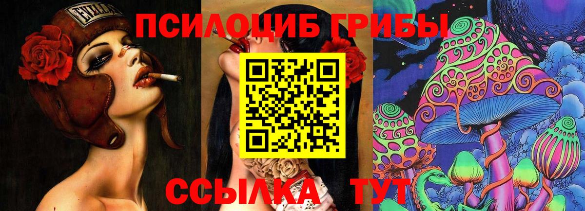 Калач-на-Дону  Псилоцибиновые грибы Psilocybine cubensis  Вход с VPN  Галлюциногенные грибы Psilocybe 